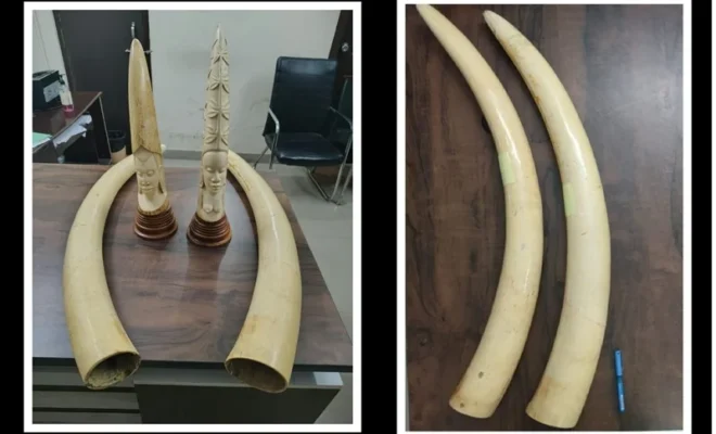 major anti poaching drive
