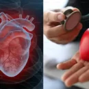 menopause and heart health why estrogen loss triggers sudden spikes in high risk ldl cholesterol