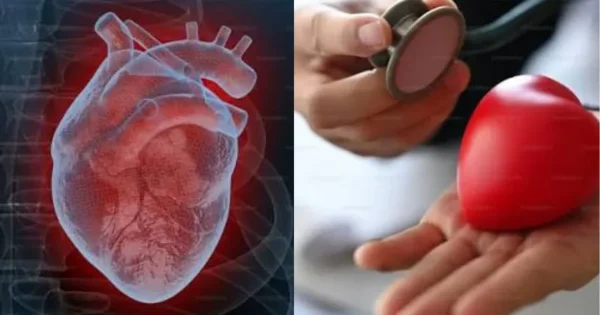 menopause and heart health why estrogen loss triggers sudden spikes in high risk ldl cholesterol