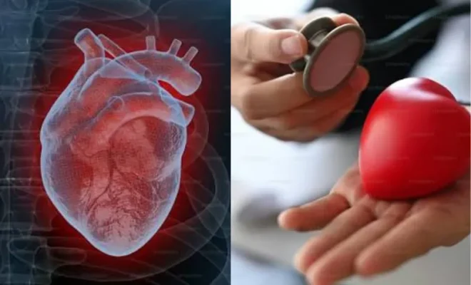menopause and heart health why estrogen loss triggers sudden spikes in high risk ldl cholesterol