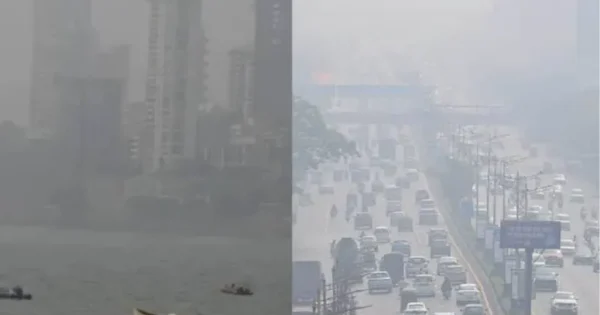 mumbai smog surpassing delhi becomes an 'emergency' bombay high court slams authorities over air quality