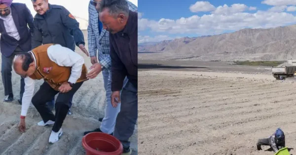 Ladakh Governor Vinai Kumar Saxena launches saffron cultivation under Project Him Sarovar