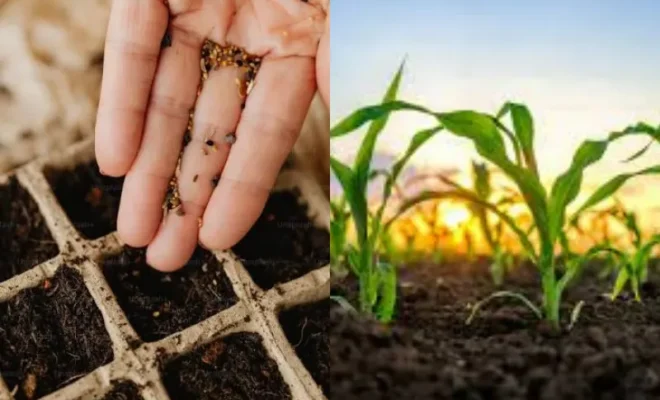 oped unregulated genetically engineered seeds and shrinking crop diversity why india needs a cautious overhaul