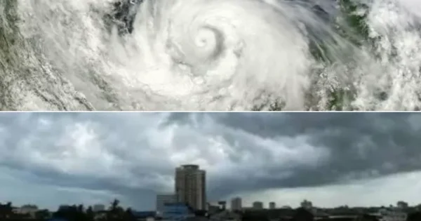 odisha school closure update 5 districts shut down, high alert declared due to cyclone threat